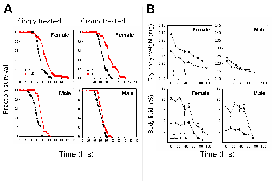 (A) 두 가지 검정 방법에 따른 암수 초파리의 기아 생존 곡선 (2가지 음식 처리군), (B) 기아의 진전에 따른 암수 초파리의 몸무게와 체지방 함량의 변화.[평균 ± 표준오차]