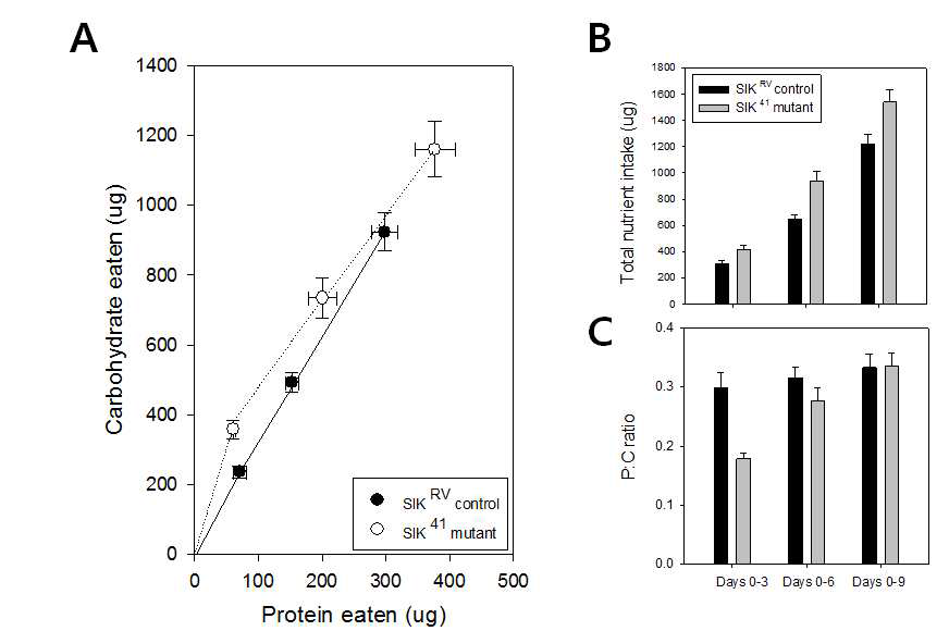 (A) 유전형(SIKRV cotnrol과 SIK△41mutant)에 따른 초파리의 (A)9일 동안 단백질과 탄수화물의 누적 섭취량, (B) 총 누적 영양분 섭취량, 그리고 (C) 단백질 대 탄수화물 섭취 비율. [평균 ± 표준 오차]