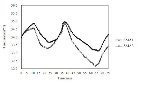 Microclimate temperature in the skin layer of the SMA embedded and down garments