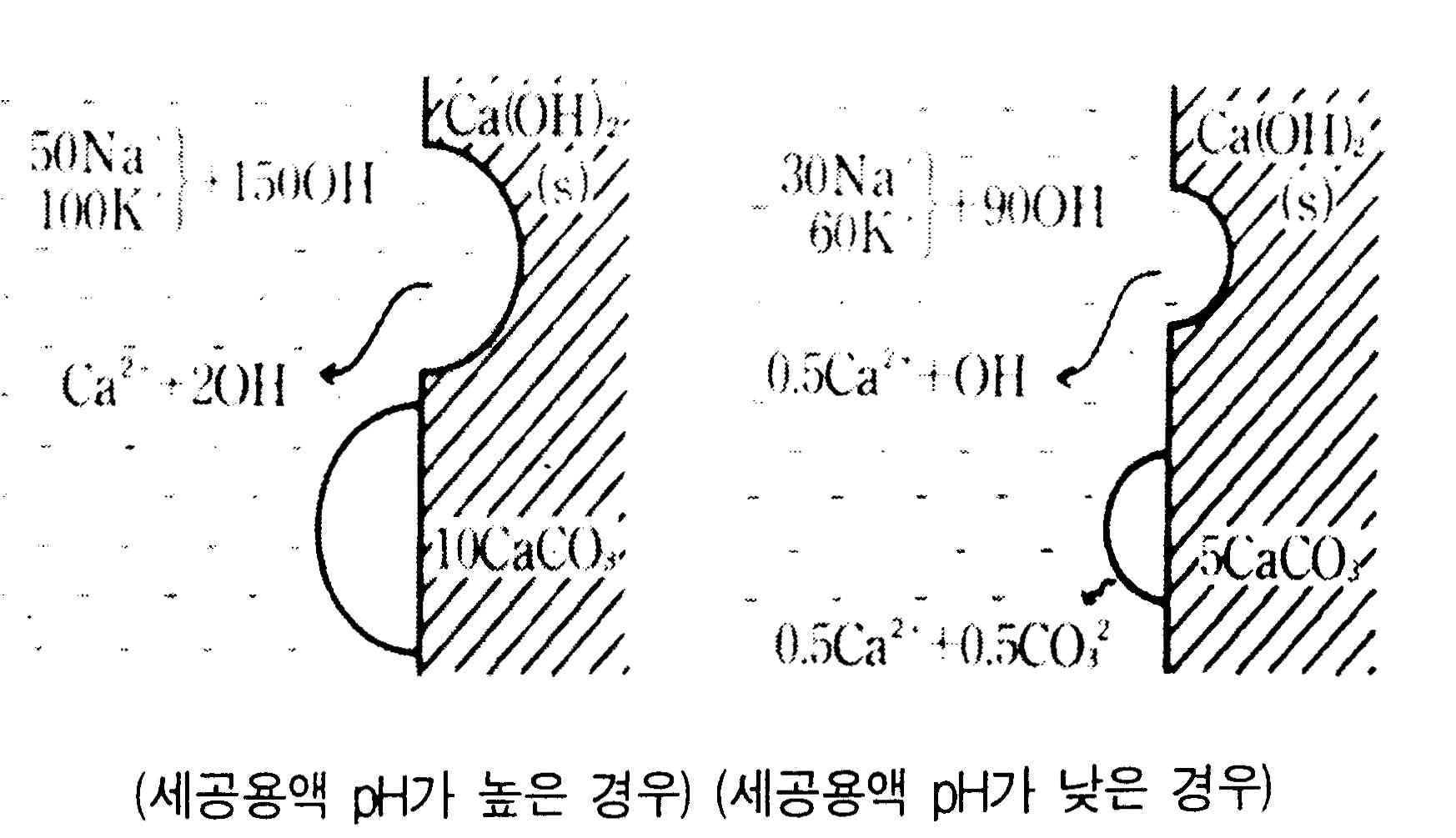 콘크리트 탄산화 화학적 진행 모식도