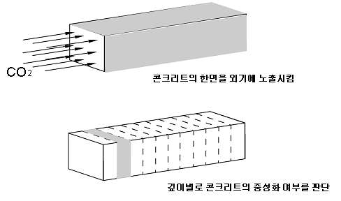 깊이에 따른 중성화 판별방법