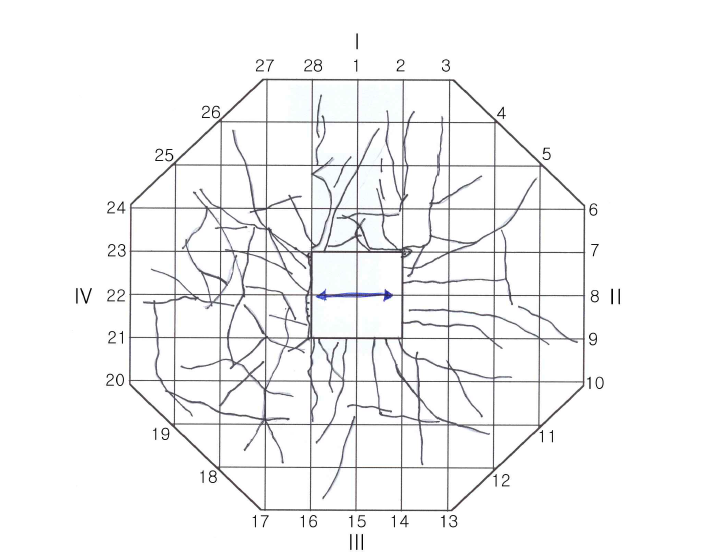 실험체 RCFPP1.5-C의 슬래브 하부 파괴형태