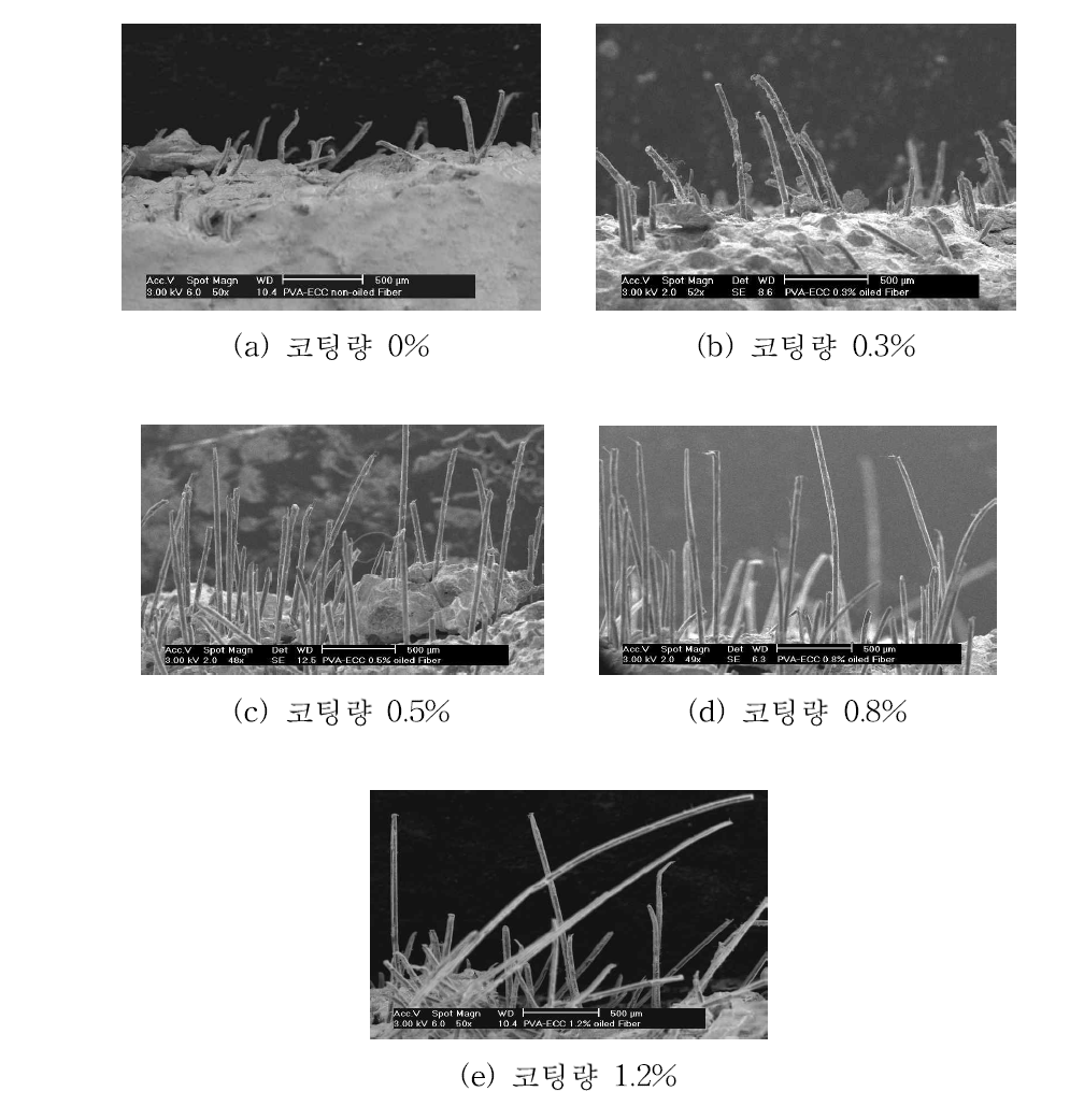 뽑힘실험에서 섬유의 파괴 형태를 보여주는 SEM 사진