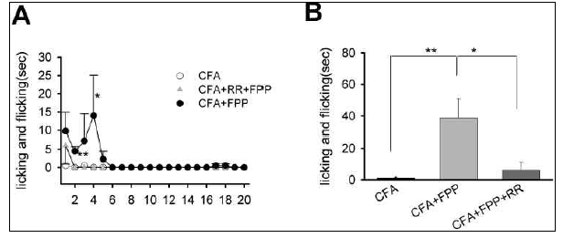 염증시 FPP에 의한 mouse 급성통증행동반응 결과. (A-B) 통증행동 반응 (licking/flicking behaviors)의 추이를 FPP (1 mM in 10 ul PBS)투여 후 시간에 따라 표기함.FPP에의해 행동소요시간이 증가함 (n=5, filled circles). 염증 유발을 위해 CFA를 투여한 mouse에서 실험을 시행함