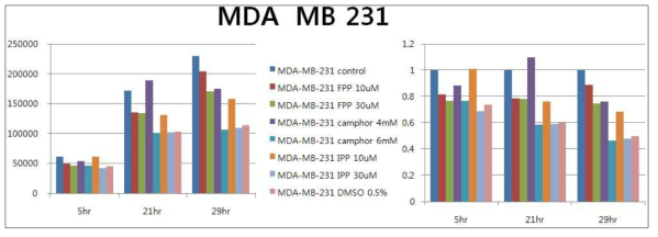 MDA-MB-231 cell line의 생장을 wound healing assay로 관찰한 결과. (좌) wound healing 회복 정도를 um 수복 정도로 나타냄. (우) 좌측의 값을 회복전 수치를 control하여 normalization한 결과. 28시간 후 FPP, IPP 및 camphor 투여군에서 에서 공히저해효과가 관찰됨
