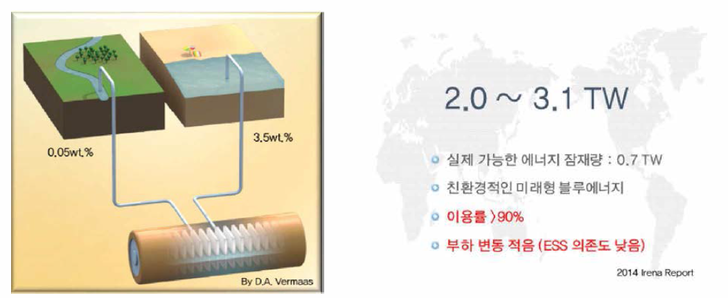 염분차발전의 개념 및 잠재량