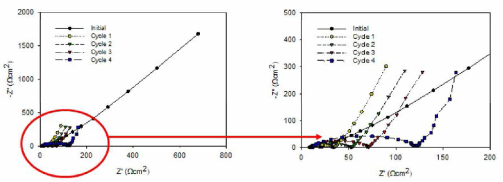 전극 스케일에 의한 전기화학적 임피던스 측정 결과