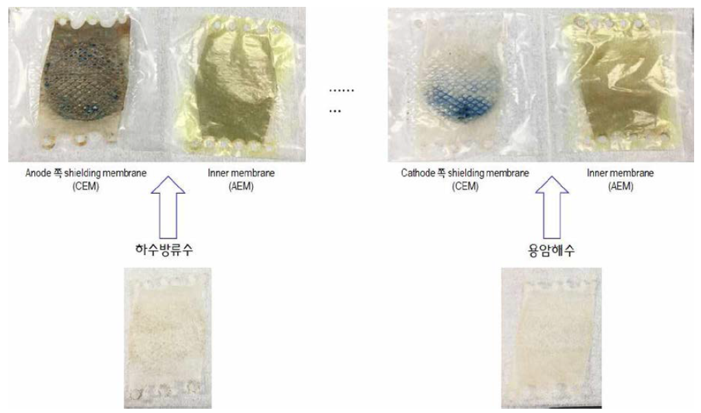 Shielding membrane과 인접 spacer 및 인접 이온교환막 상태 확인