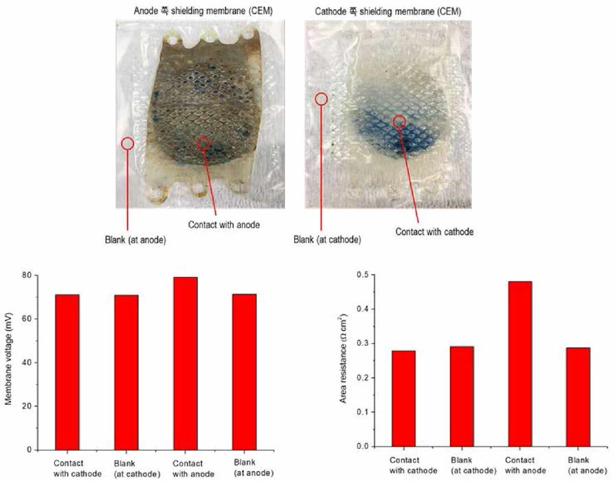 Shielding membrane 저항 및 막 전압 측정