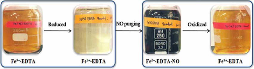 Fe-EDTA의 NO 탈기 및 재생과정 상의 색상변화