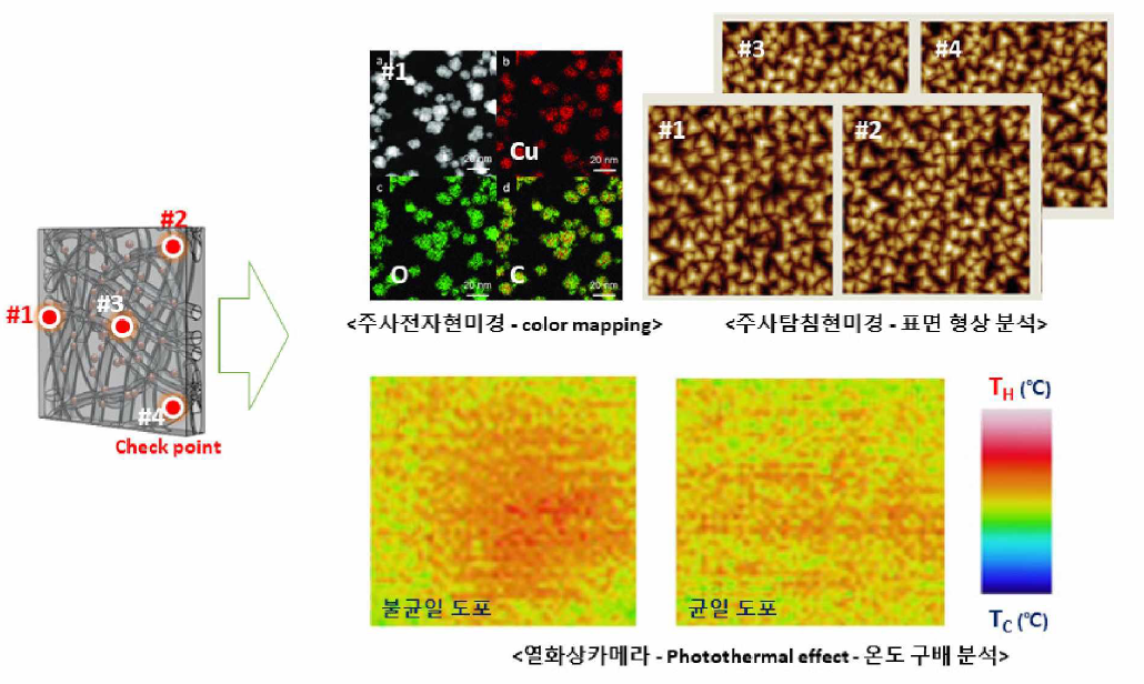 도포된 기능성 입자의 균일도 분석