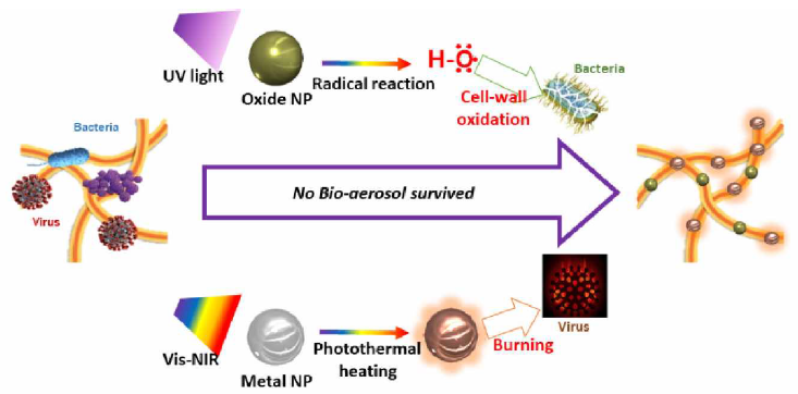 박테리아 사멸 및 바이러스 감염성 제거 전략 모식도