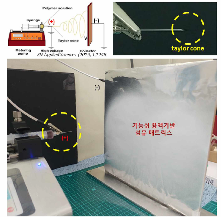 전기방사기법을 통한 기능성 섬유 매트릭스 제작