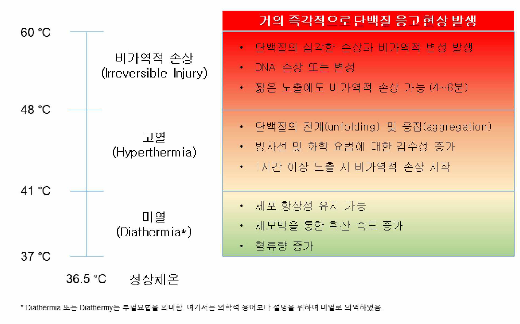 온도에 따른 생물학적 시스템 (세 포 ，조직，개체)의 영향