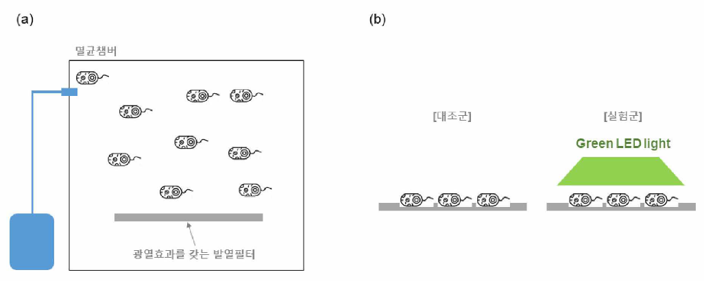 박테리아 사멸 실험 모식도 (a) 비말형태의 스프레이를 통한 기능성 필터 위 박테리아 흡착 과정과 (b) 대조군 및 실험군의 비교