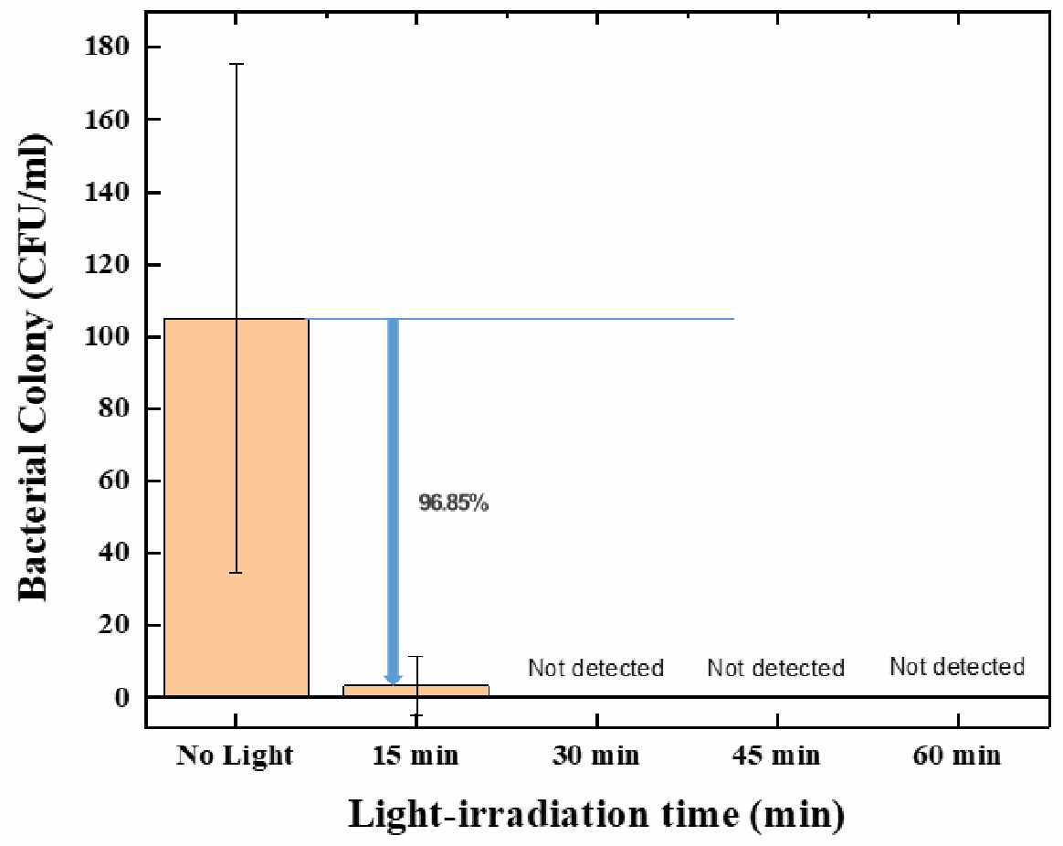 빛 조사시간에 따른 박테리아 사멸 실험 결과