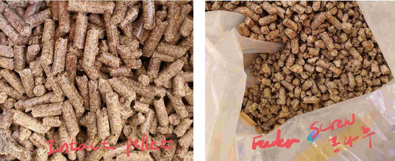 Screw 통과 전후의 wood pellet