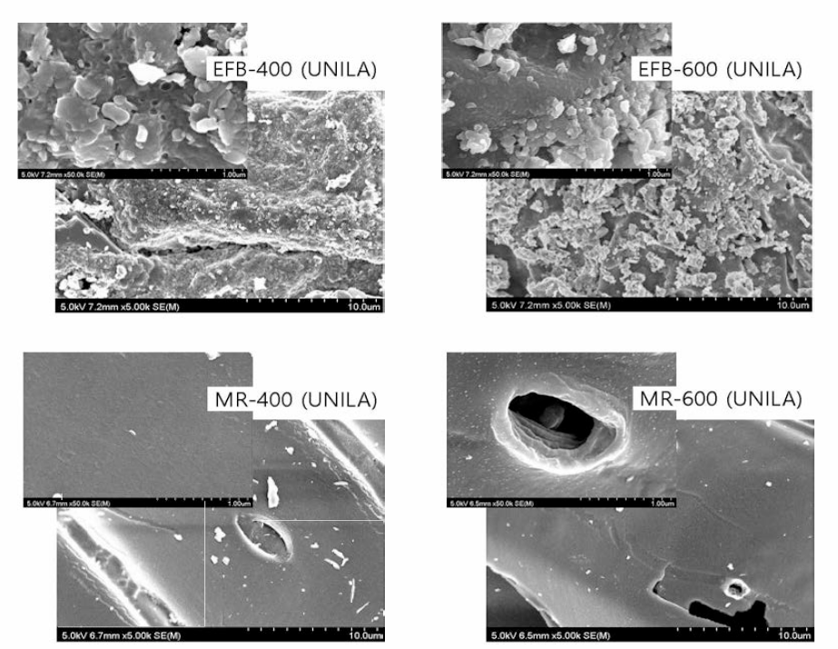 제조된 biochar의 SEM image