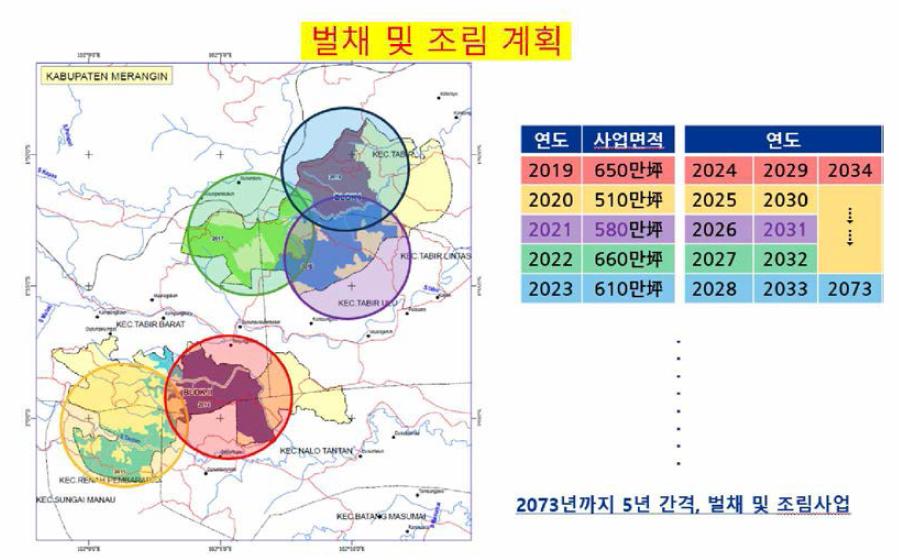 벌채 및 조림 계획