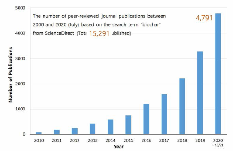 Biochar 관련 논문의 출판 현황 (2010-2020)