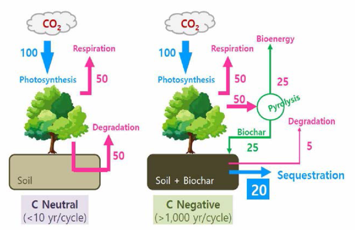 Biochar에 의한 탄소 저장 원리 [한밭대 우승한 교수의 발표자료]