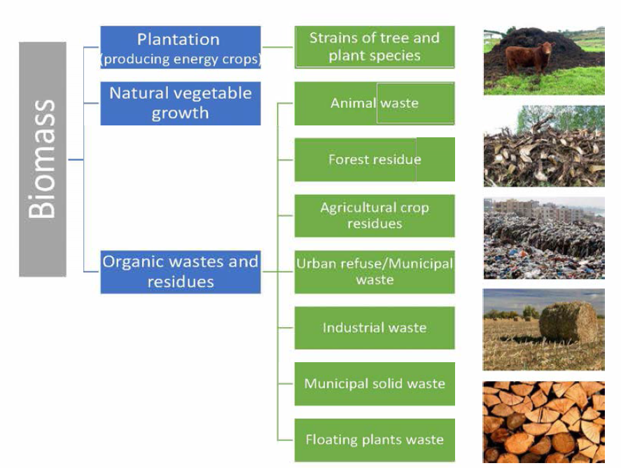 Biochar 제조를 위한 feedstock [SN Applied Science 1 (2019) 168]