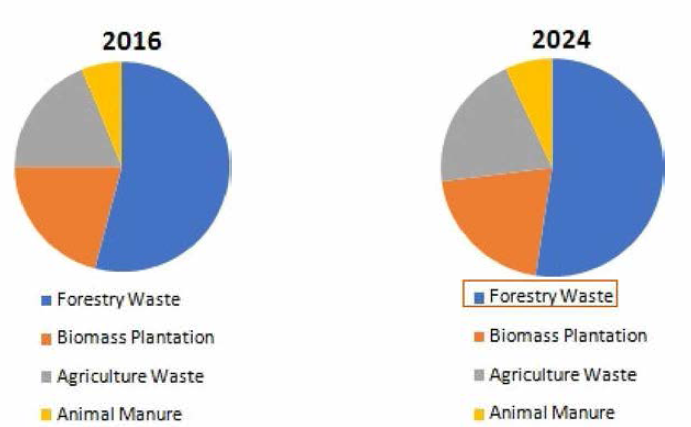 Global biochar market by feedstock [Variant market research]