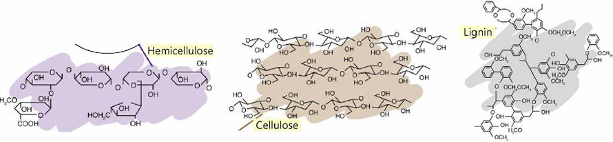 Hemicellulose，cellulose, lignin의 화학적 구조