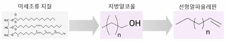 미세조류 지질의 수소화-탈수반응을 통한 bio-LAO 생산 경로