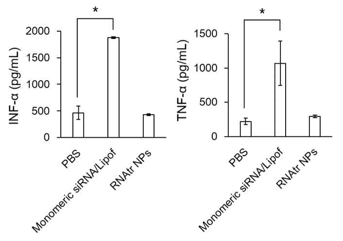 in vivo 마우스 모델에서의 RNA 나노파티클의 immune response 분석