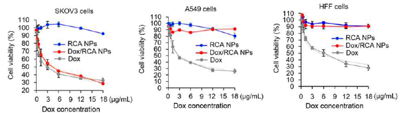 Dox/DNA 나노입자의 우수한 난소암 선택적 항암 효과