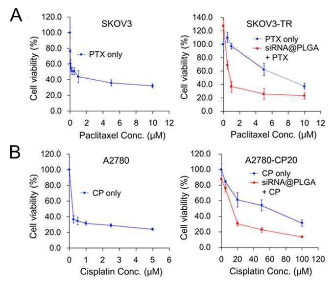 항암내성이 조절된 SKOV3-TR 및 A2780-CP20 난소암에서 감소된 paclitaxel 및 cisplatin의 IC50 값