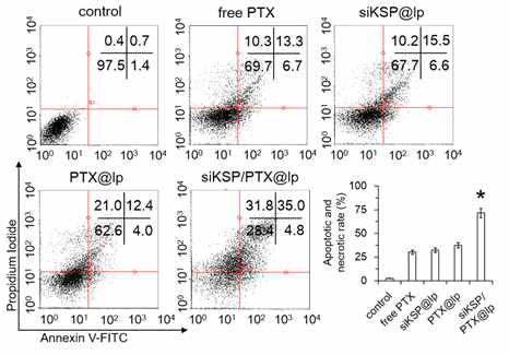 Flow cytometric histograms of HeyA8-MDR cells treated with PBS (control), free PTX, siKSP@lp, PTX@lp, or siKSP/PTX@lp. Induction of apoptotic and necrotic cell death was assessed using FACS and Annexin V/PI double staining