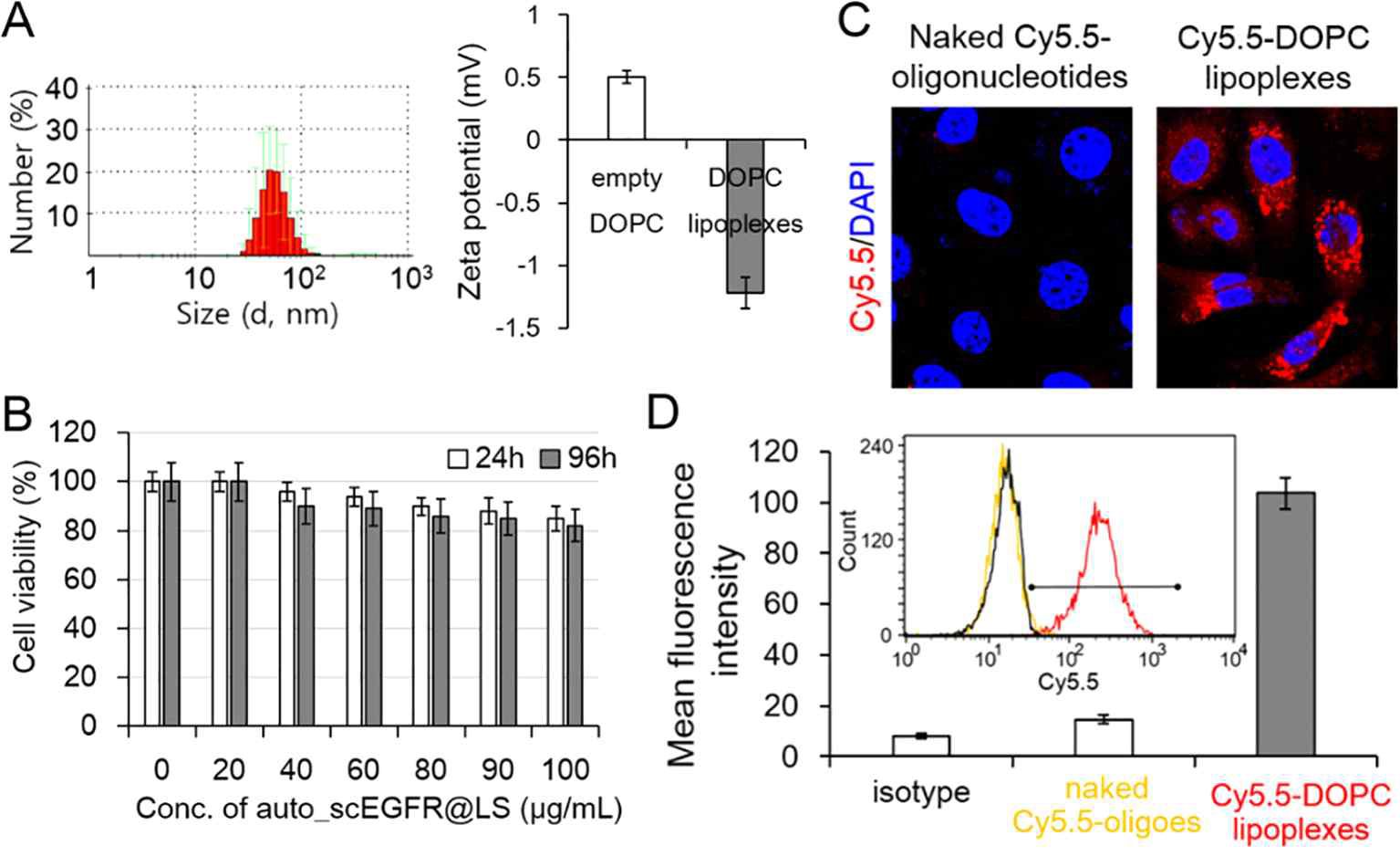 A; dynamic light scattering을 이용한 DOPC 리포좀 전달체의 hydrodynamic diameter 및 zeta potential (54.1±4.7 nm, -1.22 mV) B; MTT assay를 이용한 scrambled shEGFR 발현용 리포좀 전달체의 SKOV3 암세포에서의 세포독성 조사 (24 h 및 96 h 각각). 100 μg/mL의 고농도까지 세포독성이 나타나지 않음 C  Cy5.5로 표지된 DOPC 리포좀 전달체를 SKOV3 세포에 transfection 후, confocal fluorescence microscopy 및 FACS를 이용하여 세포투과를 측정한 결과, 우수한 세포투과 기능을 보여주고 있음