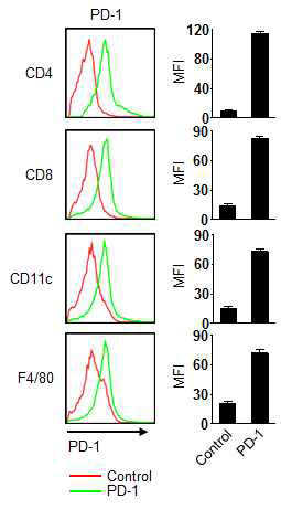 면역세포에서 PD-1의 발현