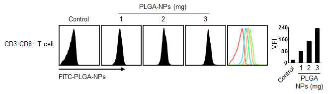 PLGA 나노입자의 CD8+ T 세포내 이입률