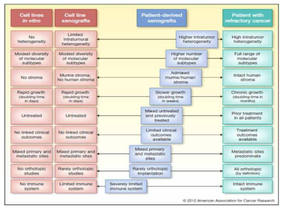 The promise of patient-derived xenografts (CCR 2012)