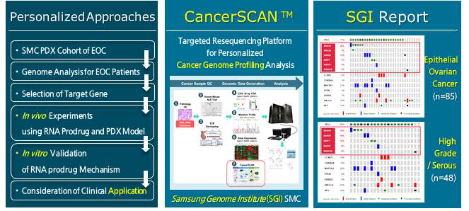 난소암 환자유래 검체의 CancerSCAN platform 기반의 유전체 분석 수행 과정