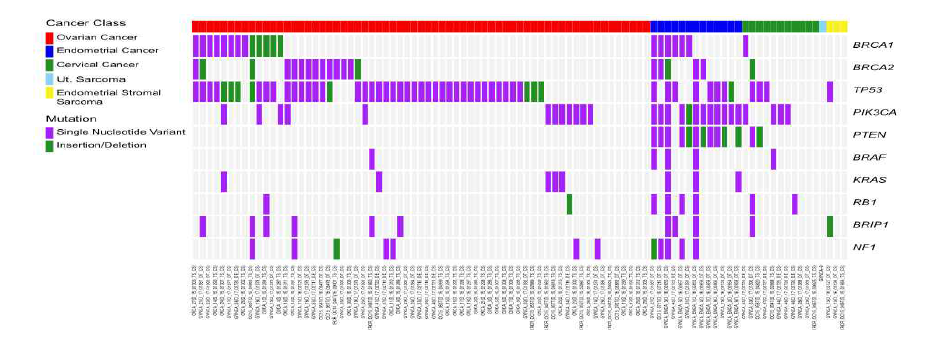 부인암 환자유래 검체의 CancerSCAN 분석 결과 모식도