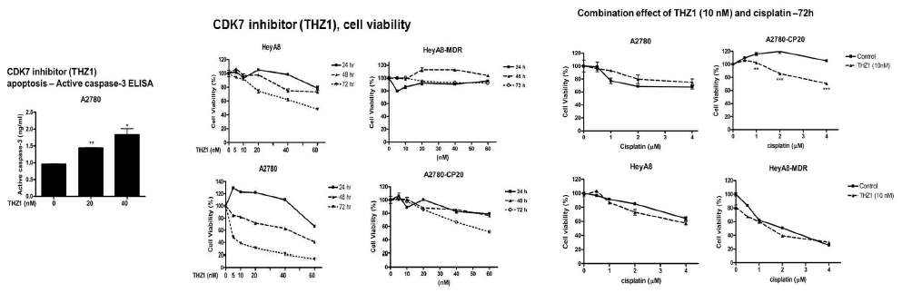 난소암세포주 HeyA8, A2780에서 CDK7 inhibitor에 의한 암세포성장 억제 (MTT assay)