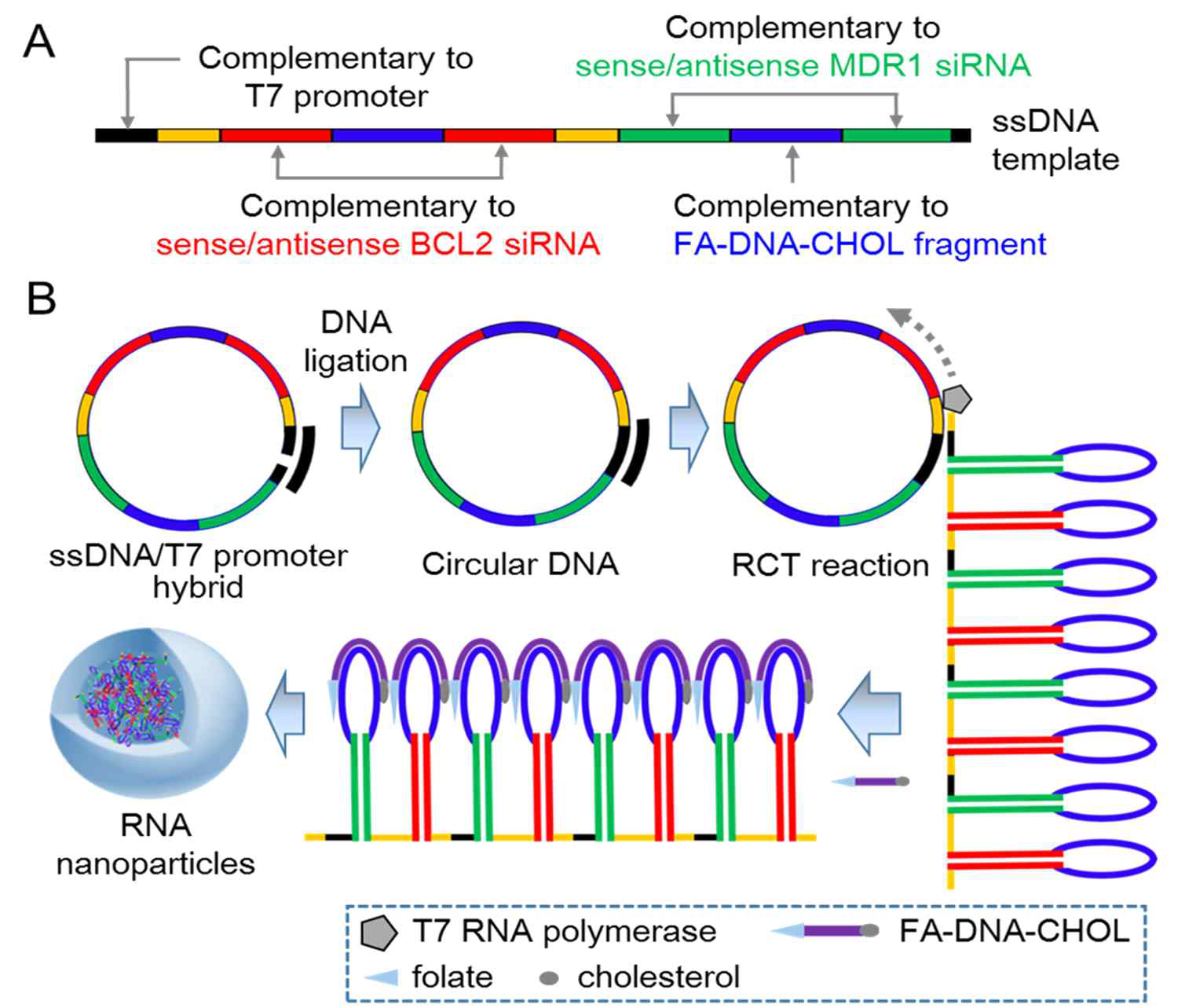two-in-one siRNA delivery가 가능한 RNA 나노파티클 제조 공정 모식도