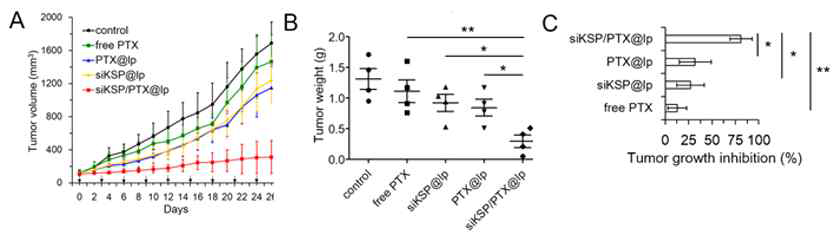Antitumor effects of siKSP/PTX@lp in HeyA8-MDR xenograft mice