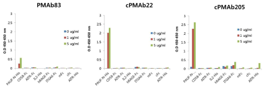 PMAb83와 Chimeric 항체 cPMAb22와 cPMAb205의 PAUF에 대한 결합 특이성