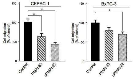 키메라항체 cPMAb22와 PMAb83에 의한 췌장암세포주의 이동능 억제