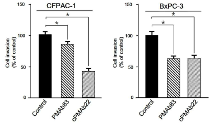 키메라항체 cPMAb22와 PMAb83에 의한 췌장암세포주의 침투능 억제