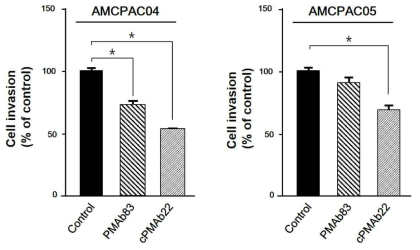 키메라항체 cPMAb22와 PMAb83에 의한 원발암세포주의 침투능 억제