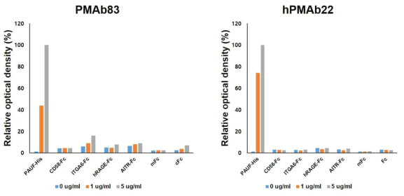 인간항체 PMAB83와 인간화항체 hPMAb22의 PAUF에 대한 결합특이성