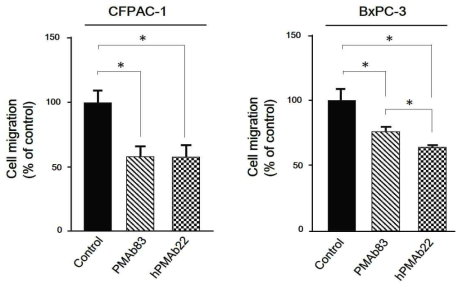 인간항체 PMAb83와 인간화항체 hPMAb22에 의한 췌장암세포주의 이동능 억제