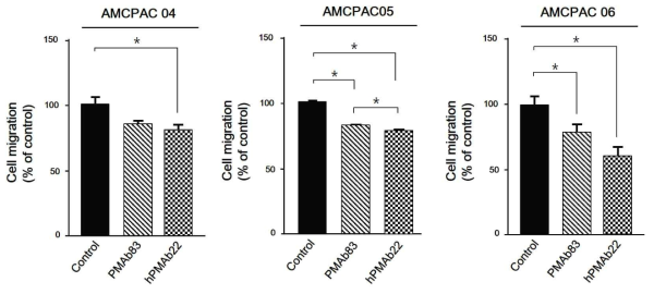 인간항체 PMAb83와 인간화항체 hPMAb22에 의한 원발암세포주의 이동능 억제