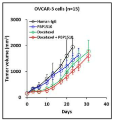 PBP1510의 난소암 세포 유래 이종 이식 모델에서 종양 성장 억제 효능 검증